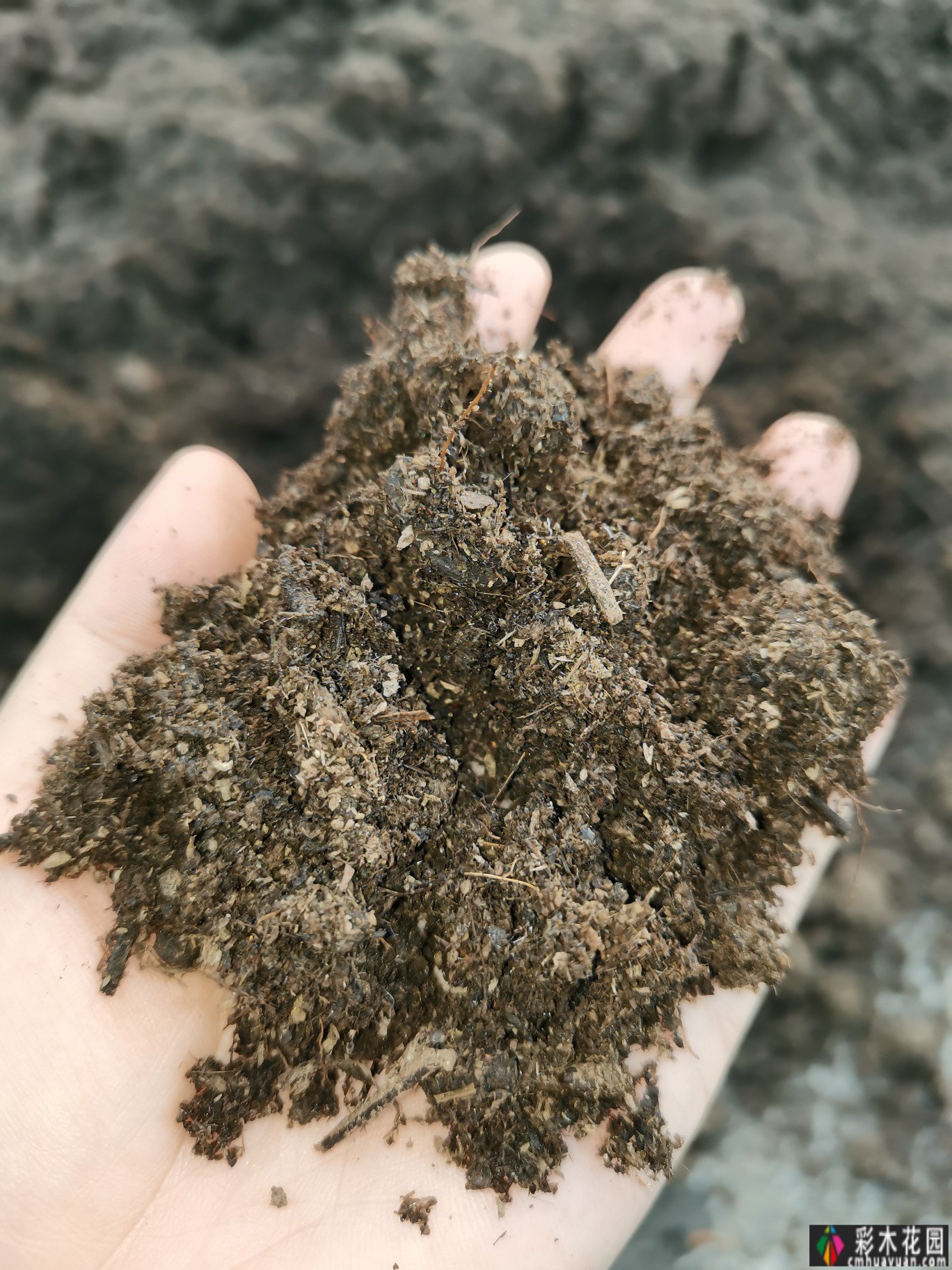 为了种花，买了一套200㎡ 庭院。经过三年的折腾，美女现在是人间仙境。