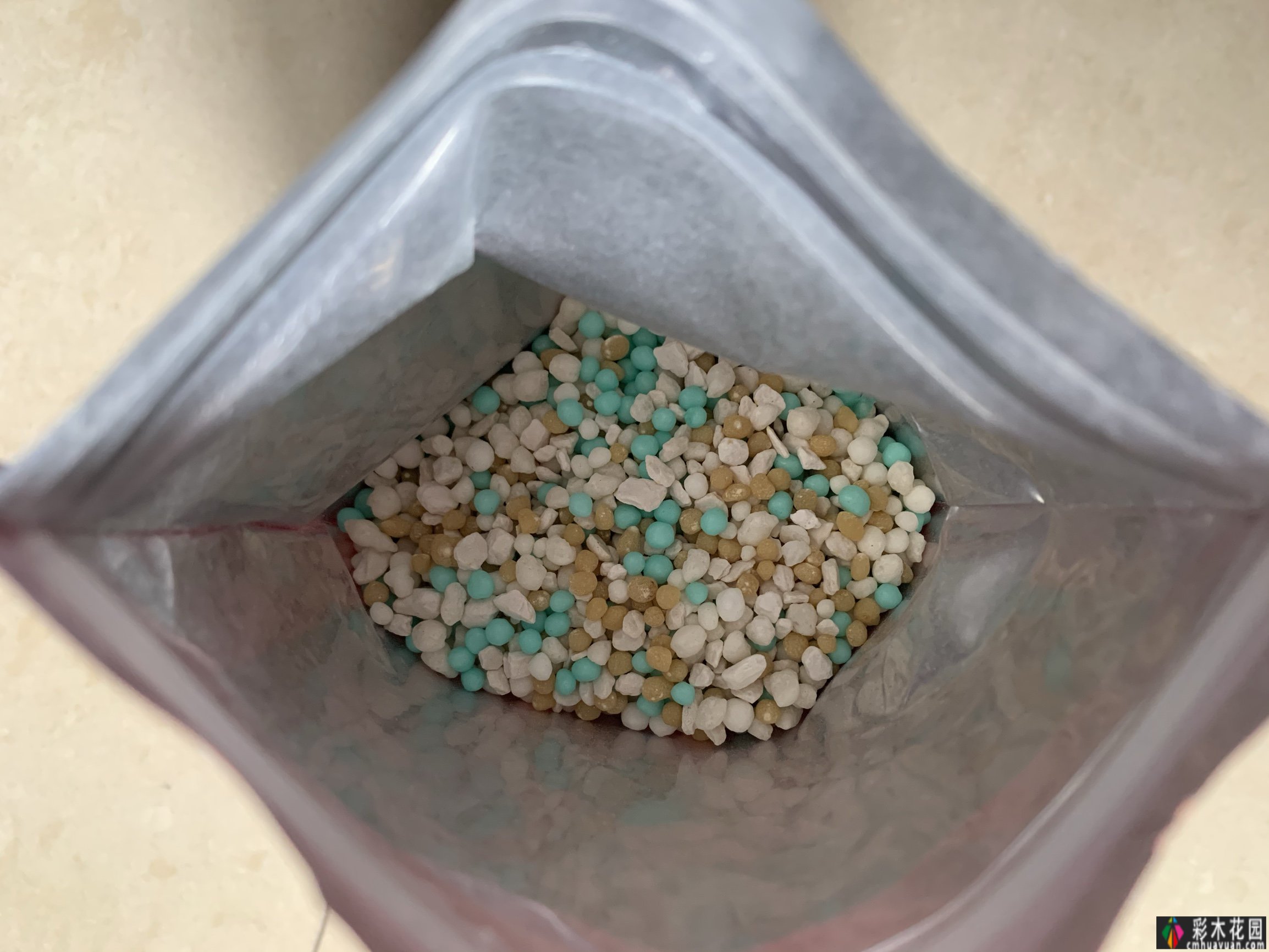 对于这个30㎡的院子，我选择了一楼的房子，DIY做了一个秘籍花园，太美了。