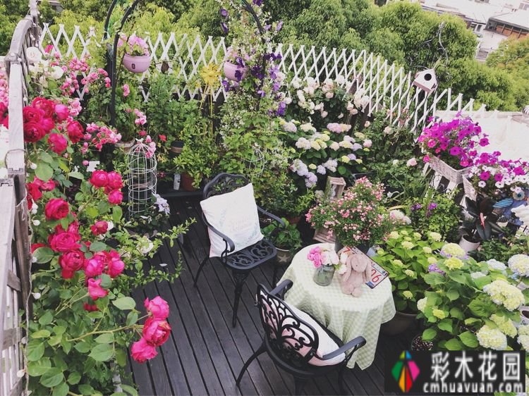 改造16㎡屋顶露台花了一年多时间，废弃的屋顶变成了“空中小花园”