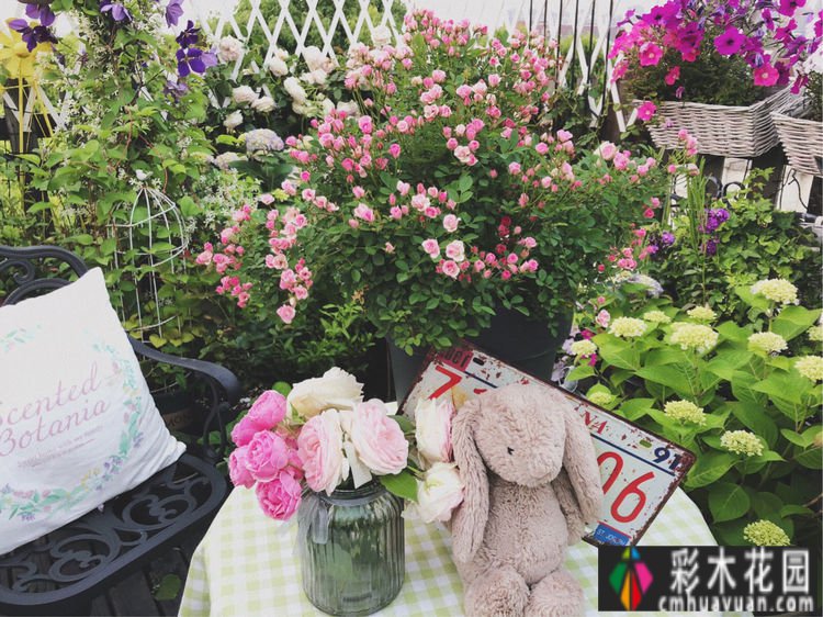 改造16㎡屋顶露台花了一年多时间，废弃的屋顶变成了“空中小花园”