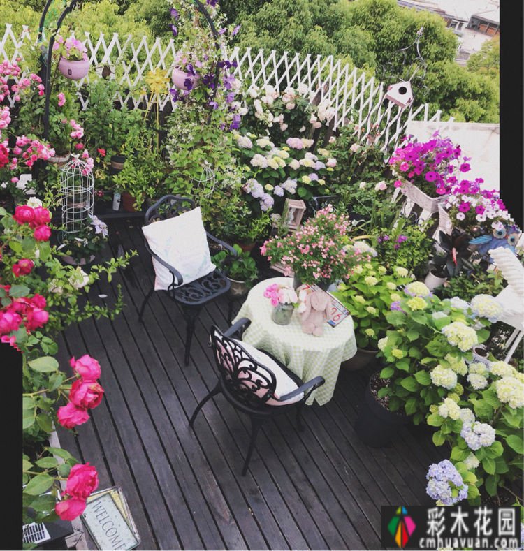 改造16㎡屋顶露台花了一年多时间，废弃的屋顶变成了“空中小花园”