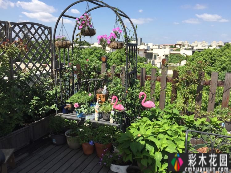 改造16㎡屋顶露台花了一年多时间，废弃的屋顶变成了“空中小花园”