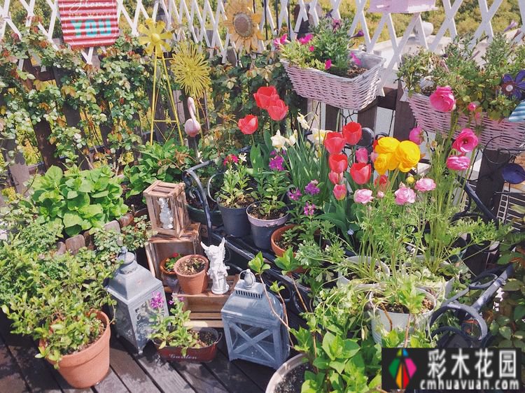 改造16㎡屋顶露台花了一年多时间，废弃的屋顶变成了“空中小花园”