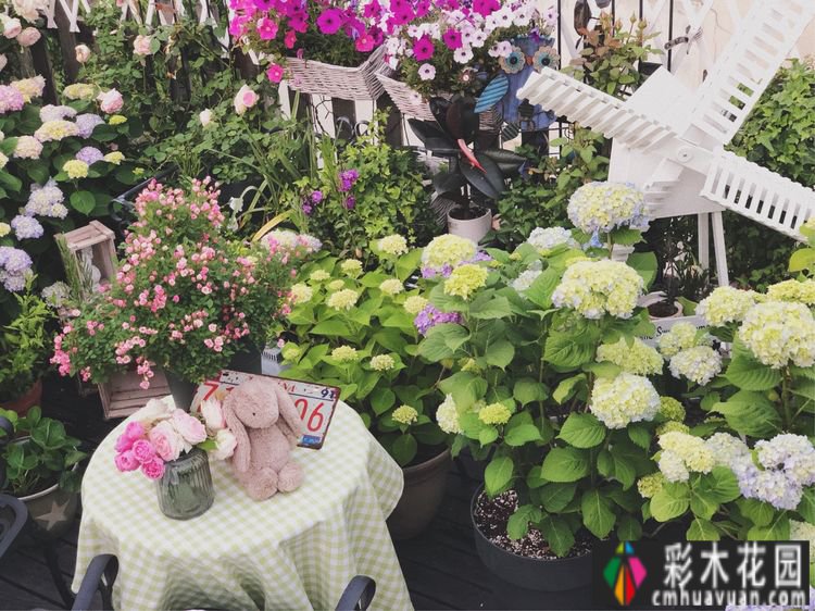 改造16㎡屋顶露台花了一年多时间，废弃的屋顶变成了“空中小花园”