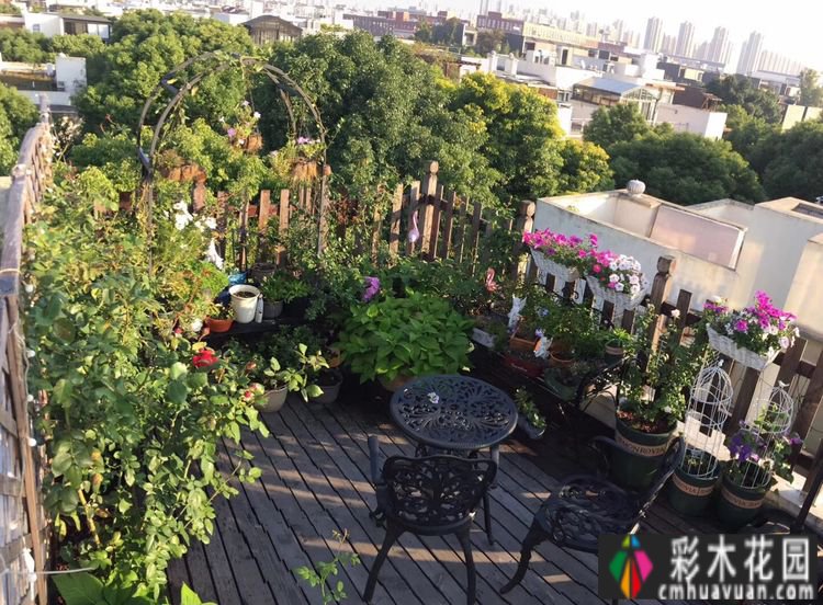 改造16㎡屋顶露台花了一年多时间，废弃的屋顶变成了“空中小花园”