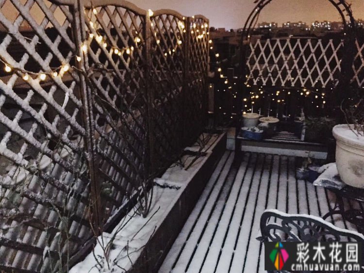 改造16㎡屋顶露台花了一年多时间，废弃的屋顶变成了“空中小花园”