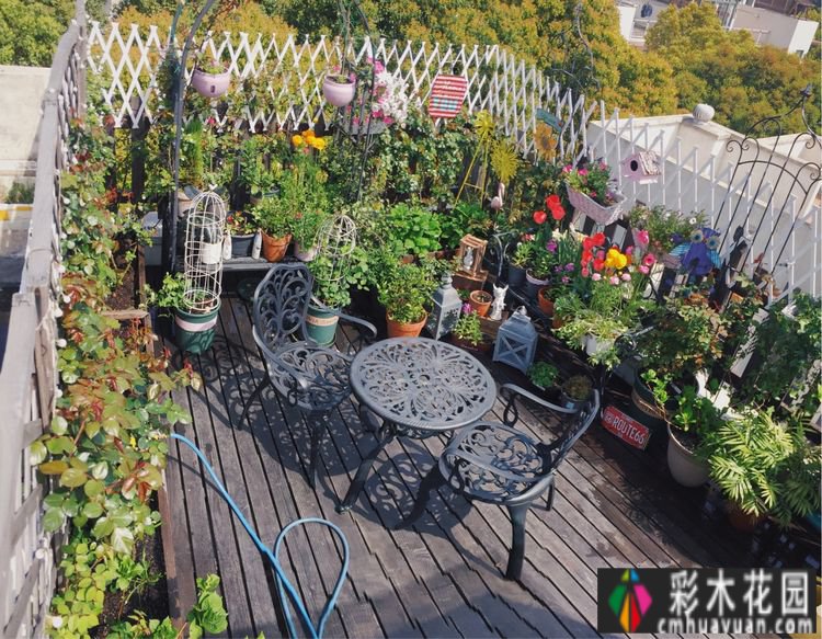 改造16㎡屋顶露台花了一年多时间，废弃的屋顶变成了“空中小花园”