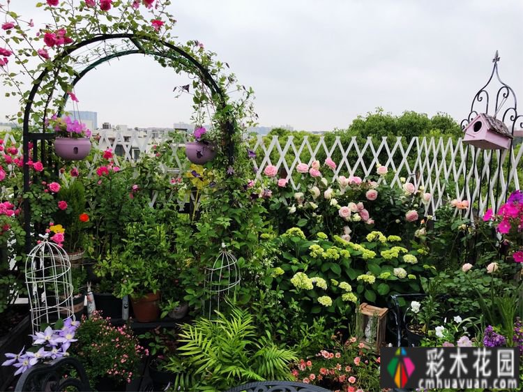 改造16㎡屋顶露台花了一年多时间，废弃的屋顶变成了“空中小花园”