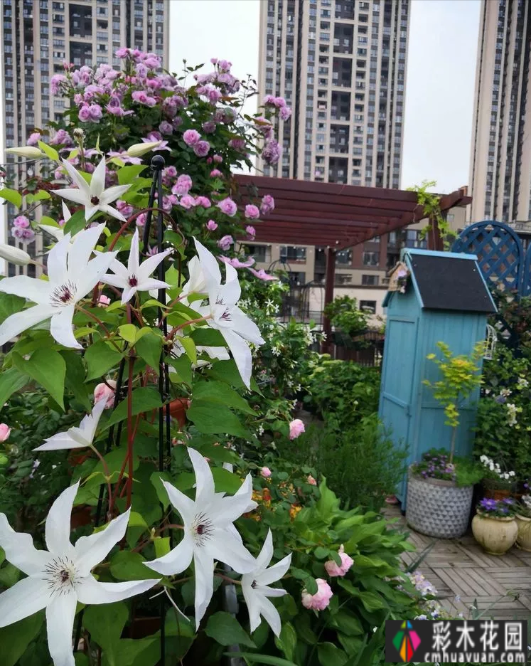 三年前，我买了一套顶楼带70㎡露台的房子，打造了一个美丽的休闲花园