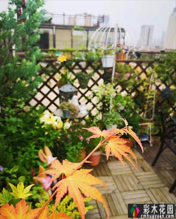 三年前，我买了一套顶楼带70㎡露台的房子，打造了一个美丽的休闲花园