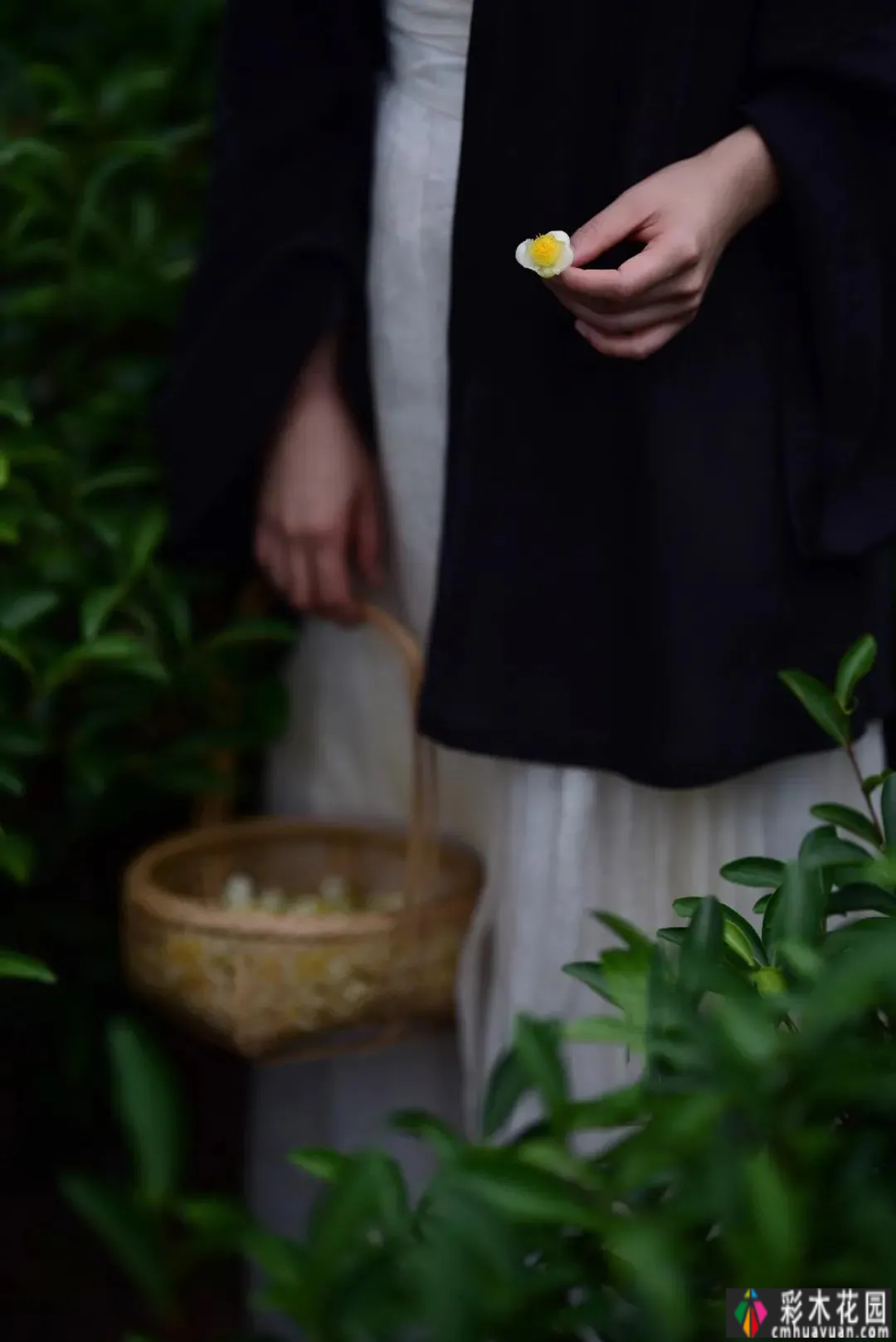 每一件奢侈品都不如一个院子。